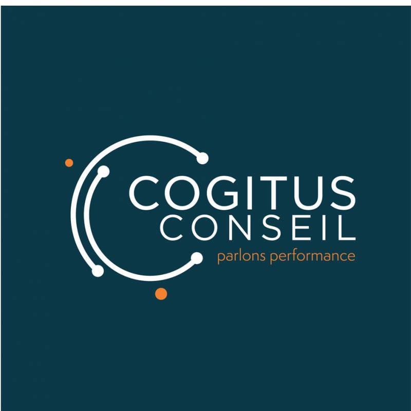 COGITUS CONSEIL