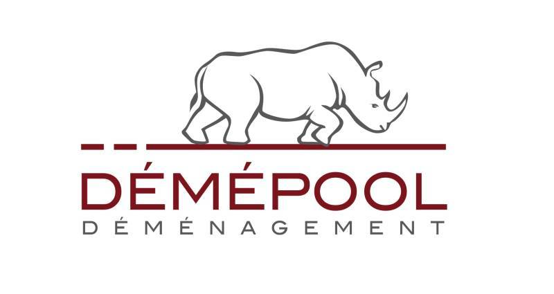 DEMEPOOL DISTRIBUTION SA