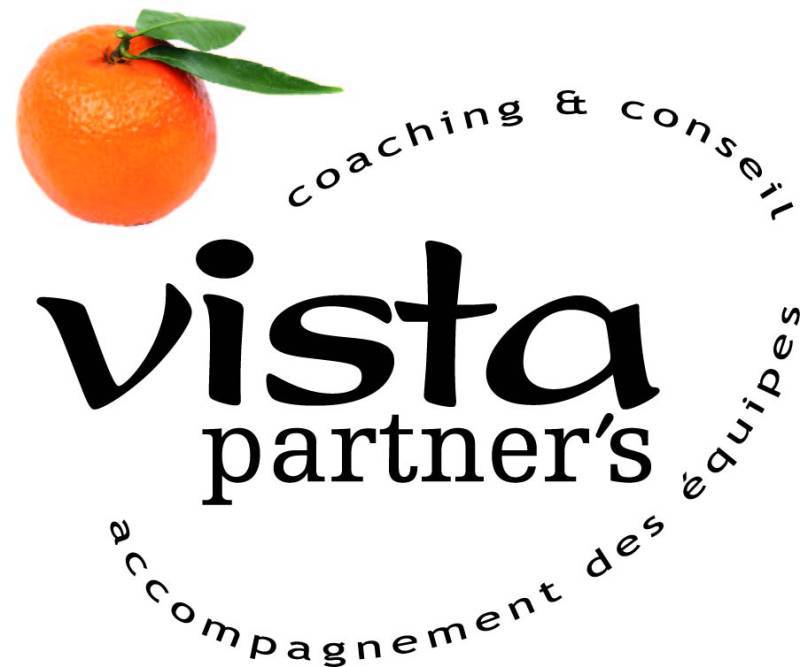 VISTA PARTNERS