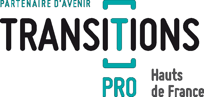 Transitions Pro